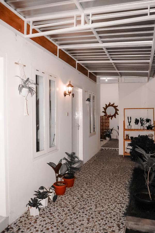Tropical Paradiso Homestay Banyuwangi  Bagian luar foto