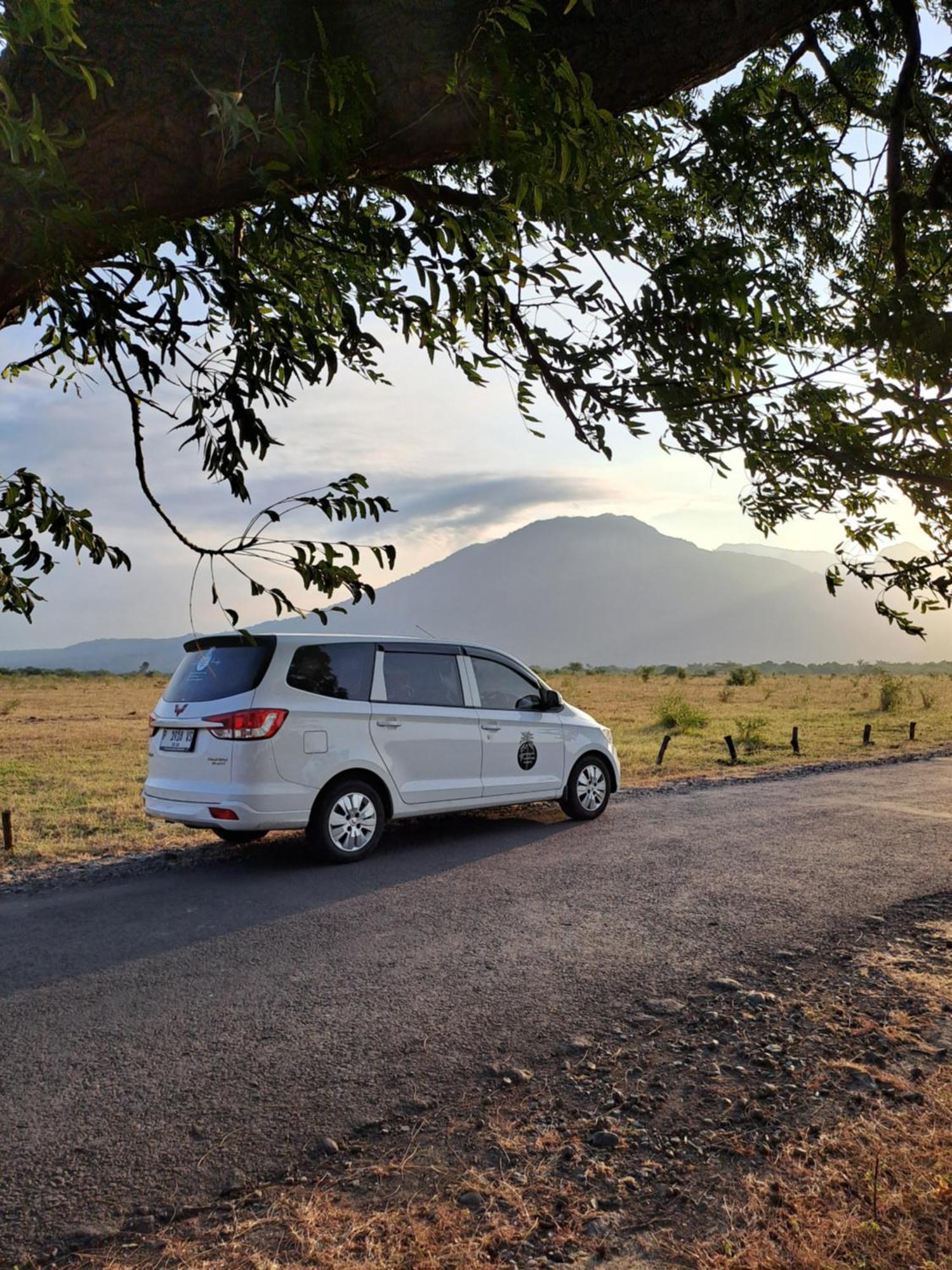 Tropical Paradiso Homestay Banyuwangi  Bagian luar foto